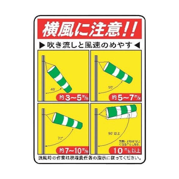 WE60 吹流しと風速のめやす 4170600 1点