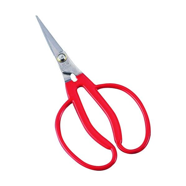 小林製鋏 越路ブドウ間引鋏 K-14(ステンレス) BBD0301 1個