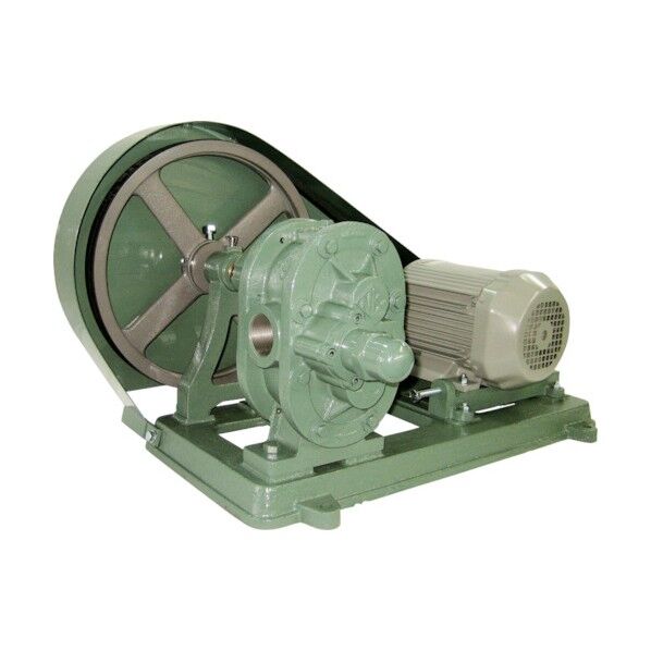 亀嶋鐵工所 ギヤーポンプ(安全弁付・電動機連結型) ME-2S 11/4 1点