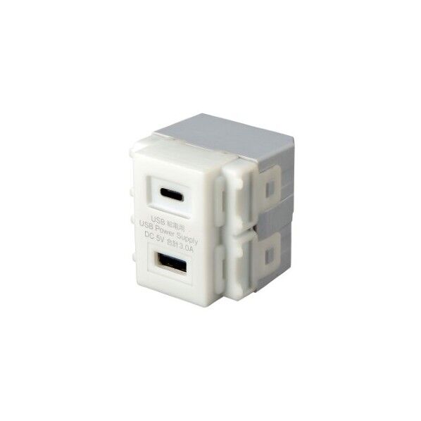 サンワサプライ 埋込USB給電用コンセント (TYPEC搭載) TAP-KJUSB1C1W 1点