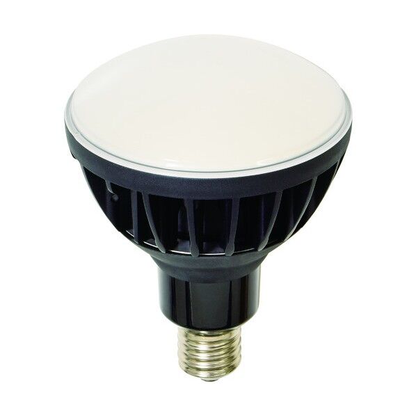 日動 LED交換球 ハイスペックエコビック50W E39 本体黒 L50V2J110BK50K 5026 1点