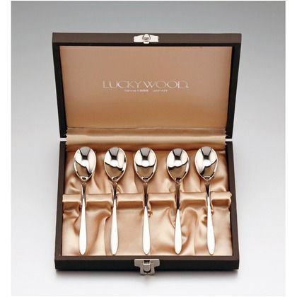 プレコ 5pc.ティースプーンセット 5-16305-0103 1