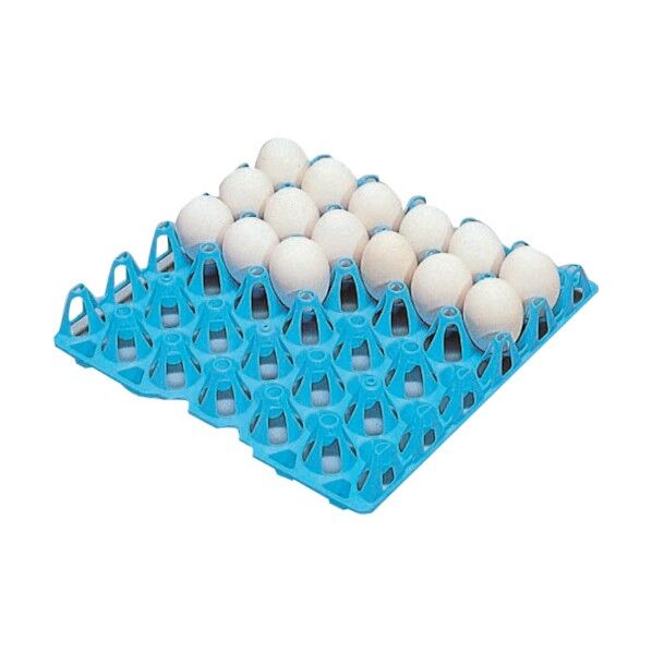 エッグトレ- 296x296 30卵用 ブルー EGT4B 1点
