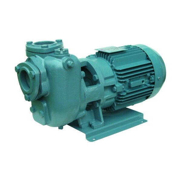 SQD型自吸ポンプ 60Hz 口径25mm 25SQGD6.4B 1点
