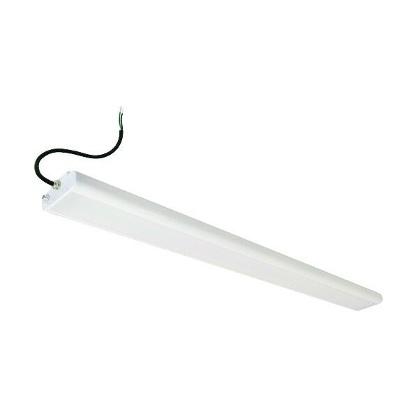 防雨型LEDベースライト50W 40形 2灯相当