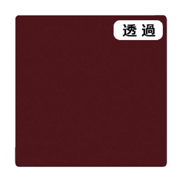 6300021348 1点