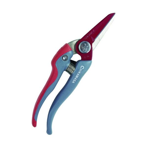 チカマサウルトラロッソG