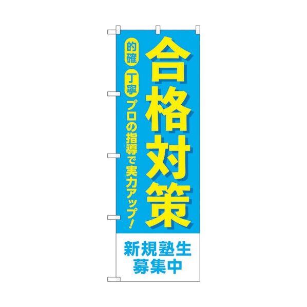 のぼり旗 合格対策新規塾生募集 No.GNB-4269 W600×H1800 6300014369 1点