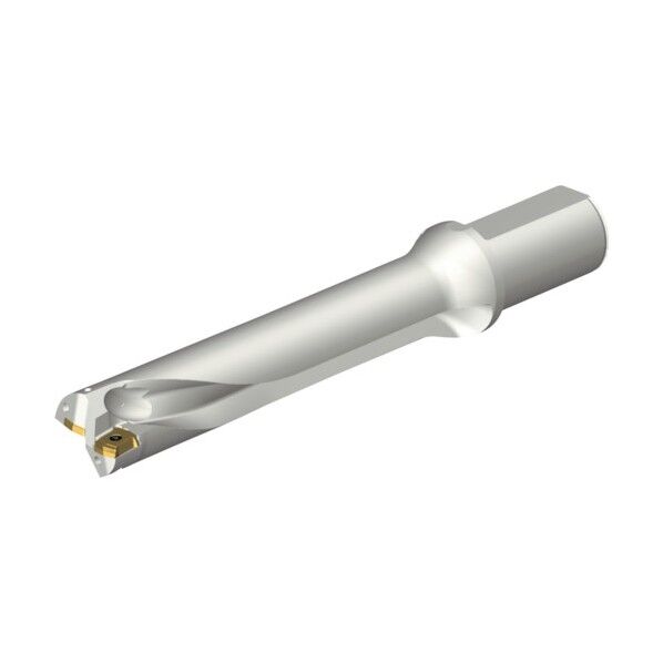 コロドリルDS20刃先交換式ドリル(465) DS20-D3700L40-05 1点