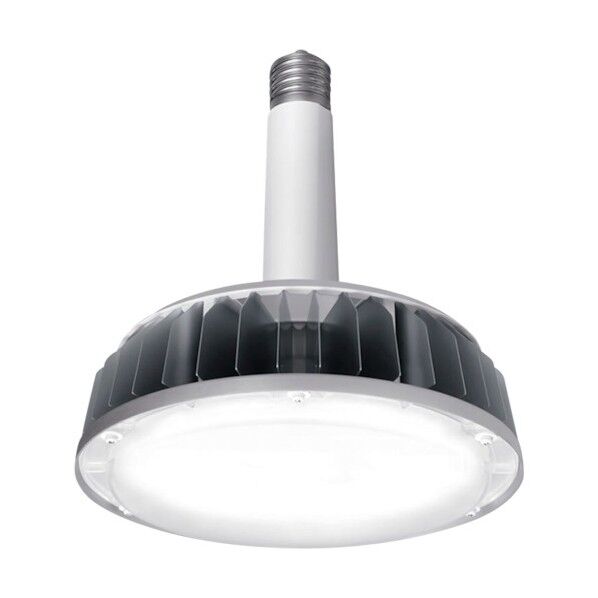 ※法人専用品※アイリスオーヤマ 高天井LEDランプ RZシリーズ LDR165N-E39/110F 1点