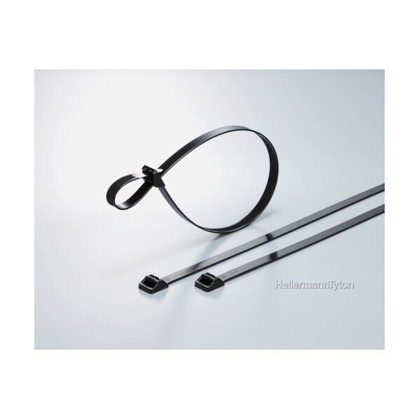 ヘラマンタイトン ラッシングタイ RT250タイプ 幅12.5×長さ515mm RT250R-W 1点...