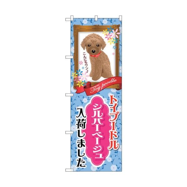 のぼり旗 トイプードル シルバーベージュ No.GNB-2460 W600×H1800 6300013109 1点