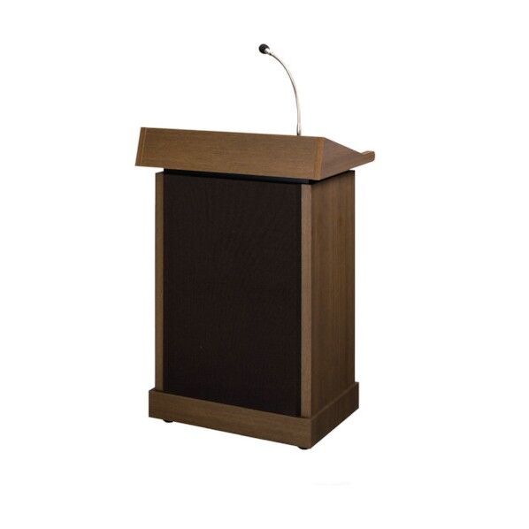 レクチャーアンプ30W