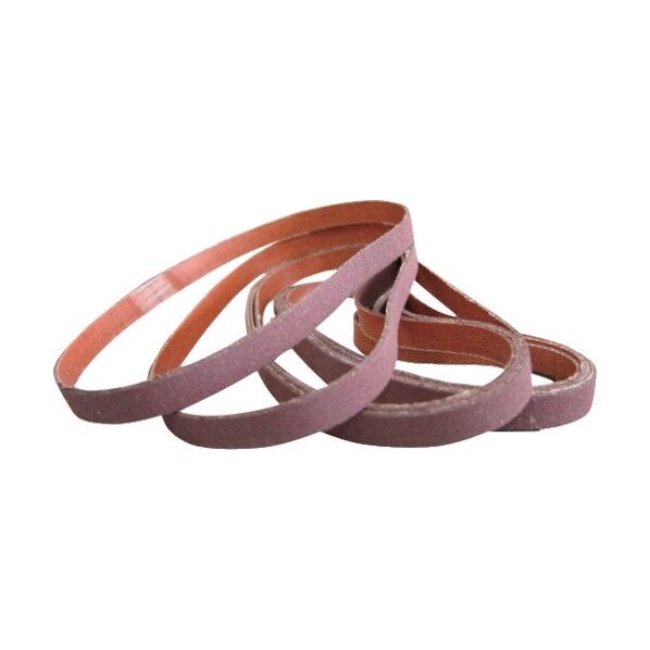 ライバベルト100