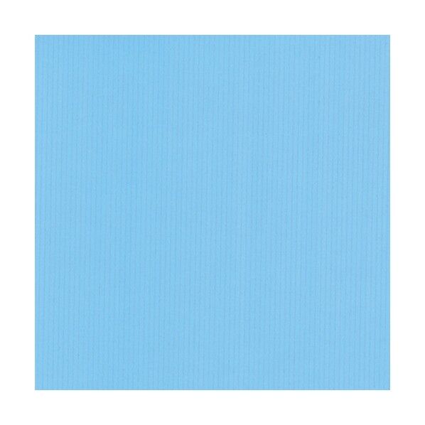 包装紙 白筋無地 B 半才 2310203 1点