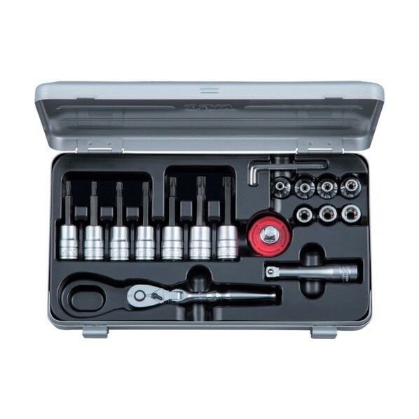 9.5sq.T型いじり止めトルクスビットソケットE型トルクスレンチセット