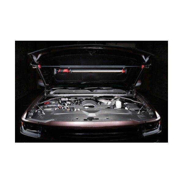 M12 アンダーフードライト