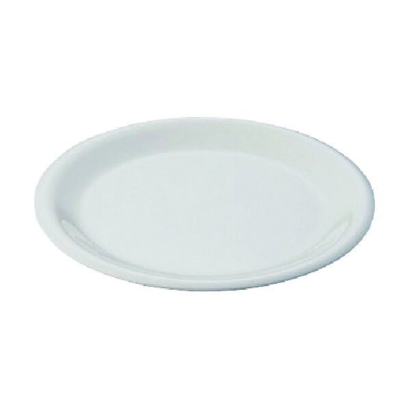 カーライル シーラス ディナープレート 23cm 33004 ボーン NSR0302 1個