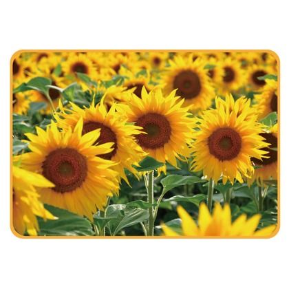 ピクチャーレジャーシート ヒマワリ ヒマワリ 幅70×奥行100×厚み0.1cm D-2333 1