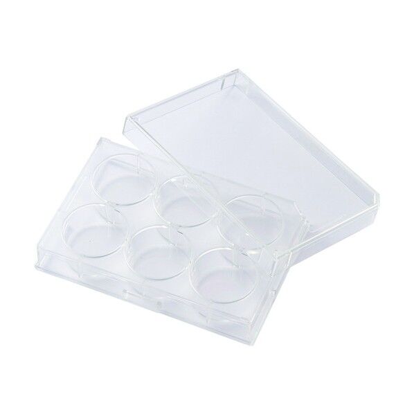 マルチディッシュ6平底プレート 425-28-55-01 60枚