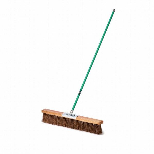 コートブラシ シダ