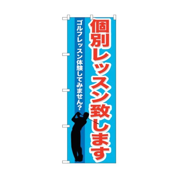 city のぼり旗 個別レッスン致します No.GNB-542 W600×H1800 6300014918 1点