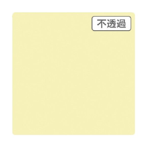 6300021516 1点
