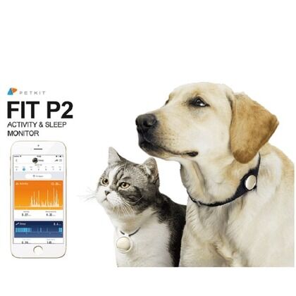 「FIT P2」ペット専用アクティビティモニター (ゴールド) ゴールド 32×32×8(mm) PKP2-GD 1