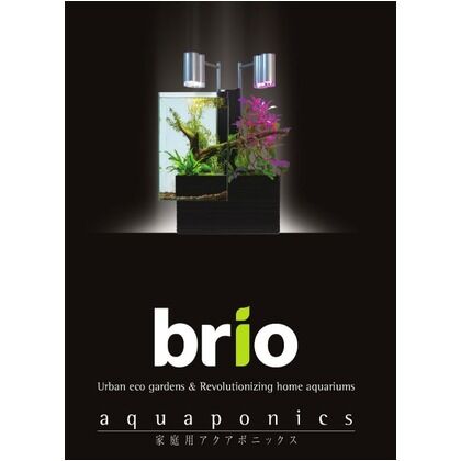 brio35 50Hz仕様 (ホワイト) ホワイト 770×490×380(mm) ベム 329019 1