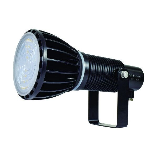 エコビックLED投光器100W (常設型)