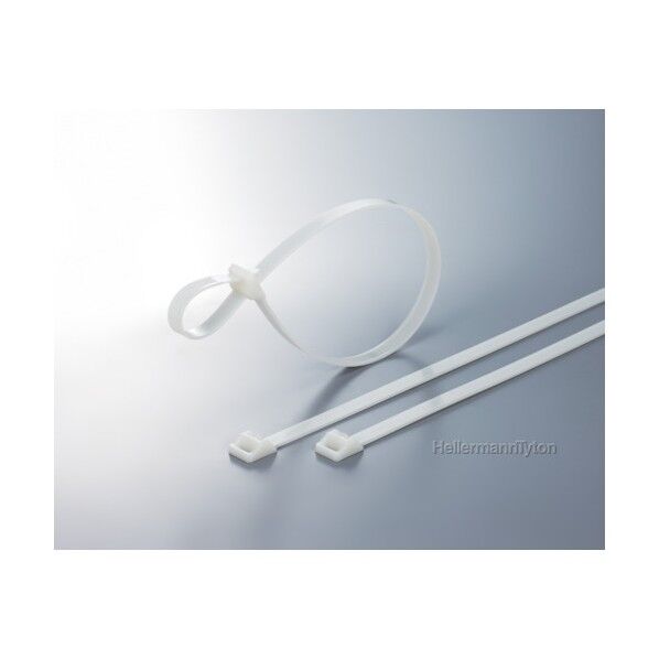 ラッシングタイ RT250タイプ 幅12.5×長さ565mm