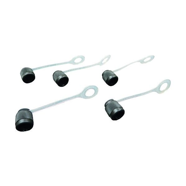 BBK アクセスバルブ (フレアキャップチェーン付)