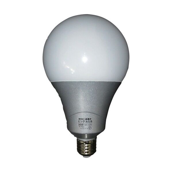 ACE LED電球ビッグルミネ 30W替玉 LED-L30 1点