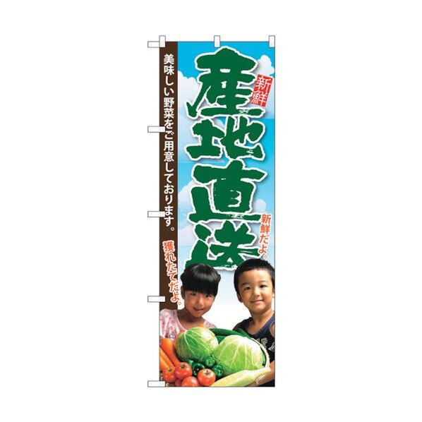 のぼり旗 産地直送 子供写真 No.SNB-2205 W600×H1800 6300016309 1点