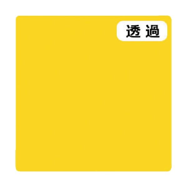 6300021295 1点