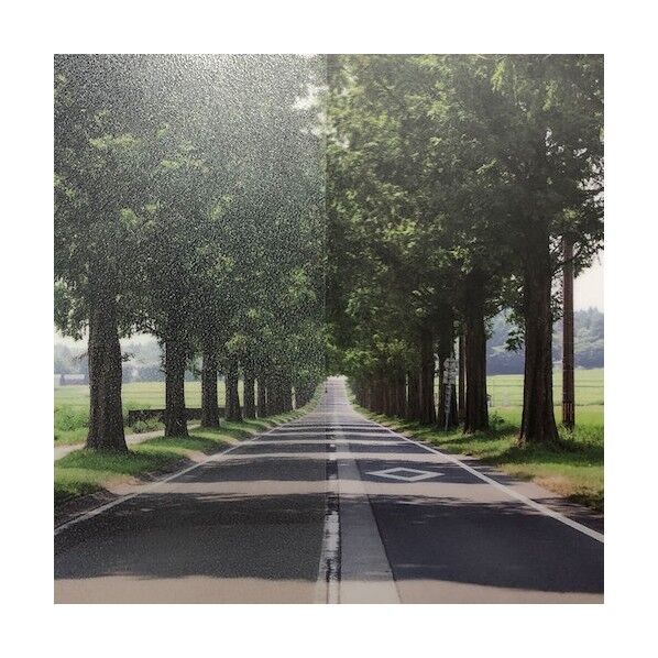 ファサラ フロスト/マット SH2EMLA ローザンヌ 1016mmX30m 6300034316 1本