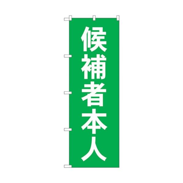 city のぼり旗 候補者本人 No.GNB-1919 W600×H1800 6300012543 1点