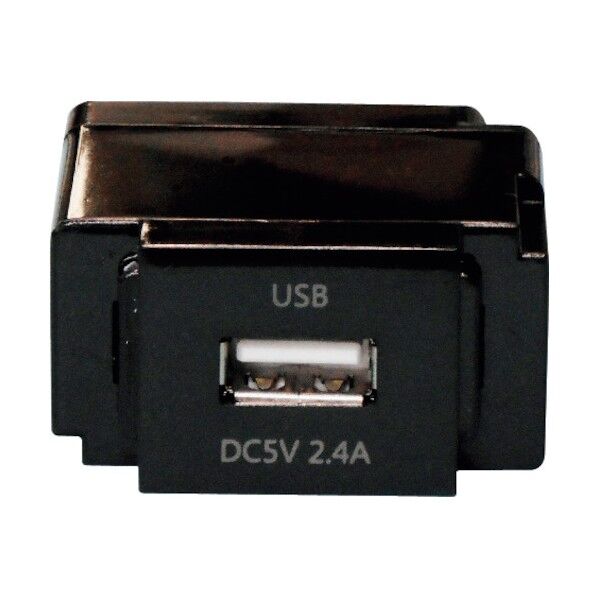 組替式USBコンセント(ブラック) N-USB0241BK 1点