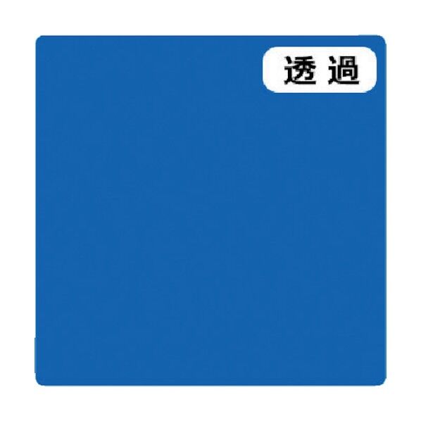 6300021318 1点