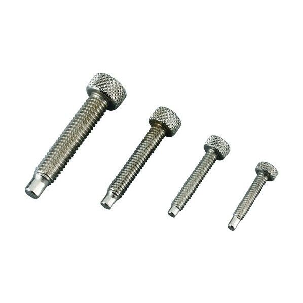 インサートねじ スクリュー 100LN、100WR、100SP用 91A 1個