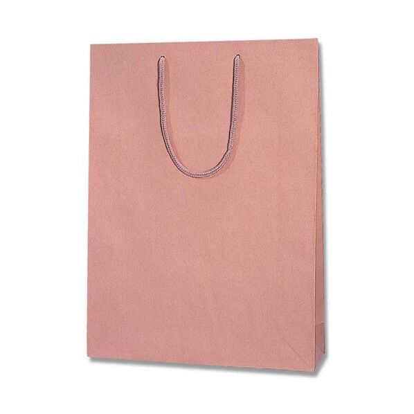 手提げ紙袋 プレーンチャームバッグ 2才 アズキ 10枚 005360102 10枚