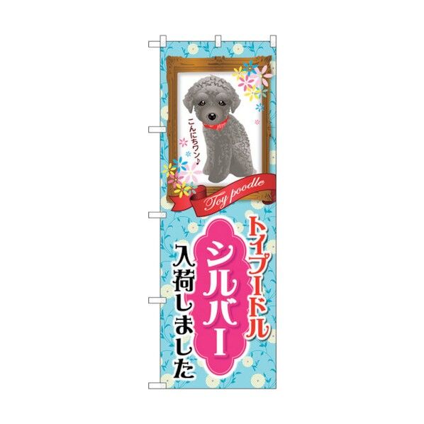 city のぼり旗 トイプードル シルバー 入荷 No.GNB-2461 W600×H1800 6300013110 1点