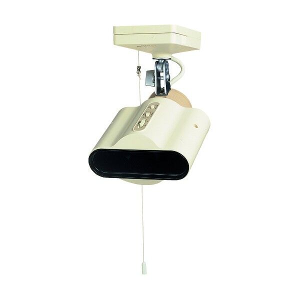 いらっしゃい店番