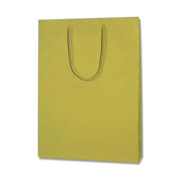 手提げ紙袋 プレーンチャームバッグ 2才 ヒワ 10枚 005360101 10枚