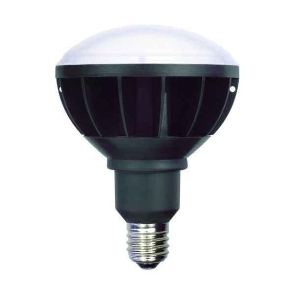 日動 LED交換球 ハイスペックエコビック50W E39 本体黒 ワイド