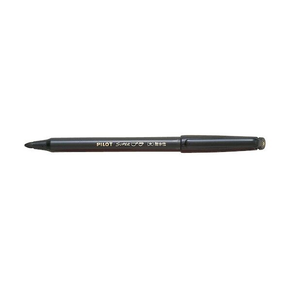 パイロットコーポレーション スーパープチ太字 ブラック SEG-10B-B 1本