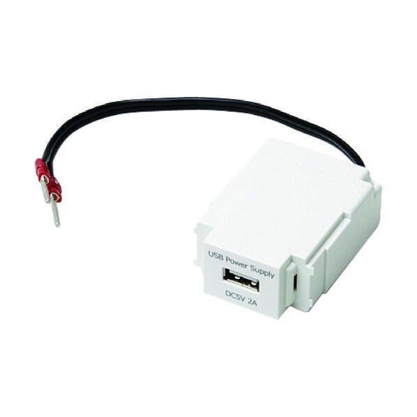 210036832 DM1-U1P2T-WT/埋込充電用USBコンセント DM1-U1P2T-WT 1点