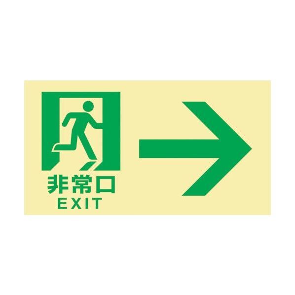 高輝度蓄光避難誘導標識 非常口→ TKN103 120×220mm 東京都条例適合品