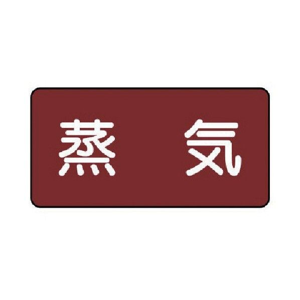 配管ステッカー 蒸気