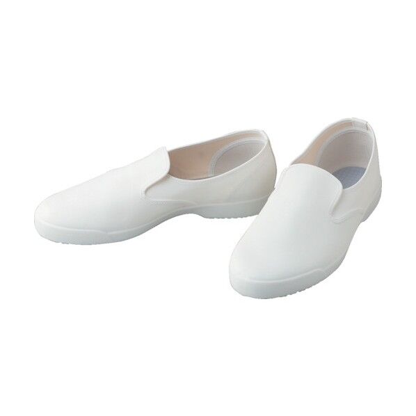 静電靴(エレクリヤNO.20)